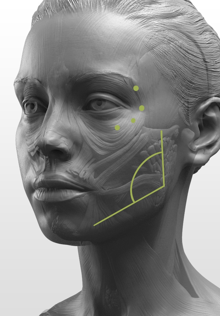 Curso de Entrenamiento Intensivo en ArmonizaciÃ³n Orofacial