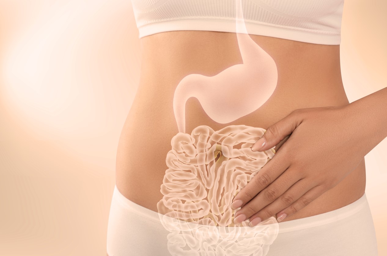 Curso NutriciÃ³n para la Salud Intestinal