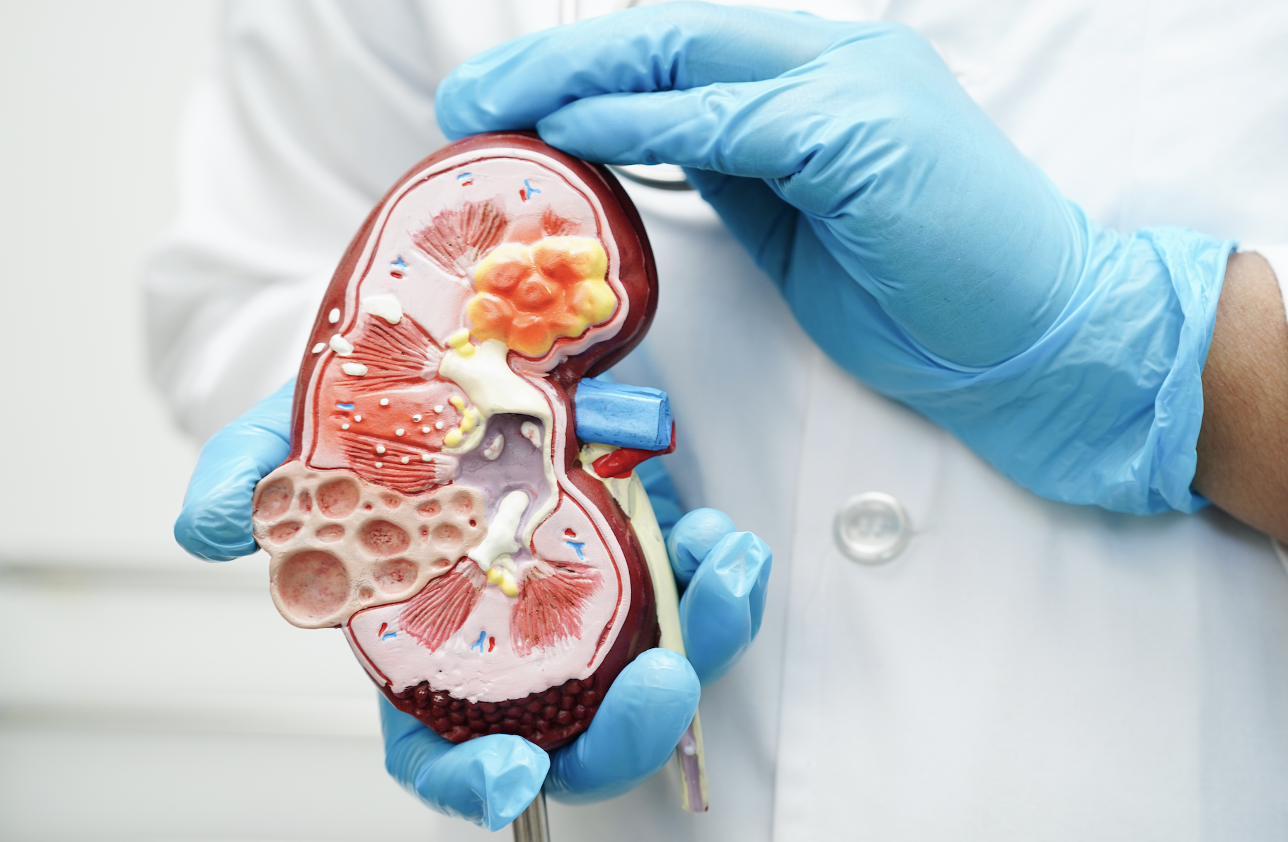 Especialidad MÃ©dica en UrologÃ­a