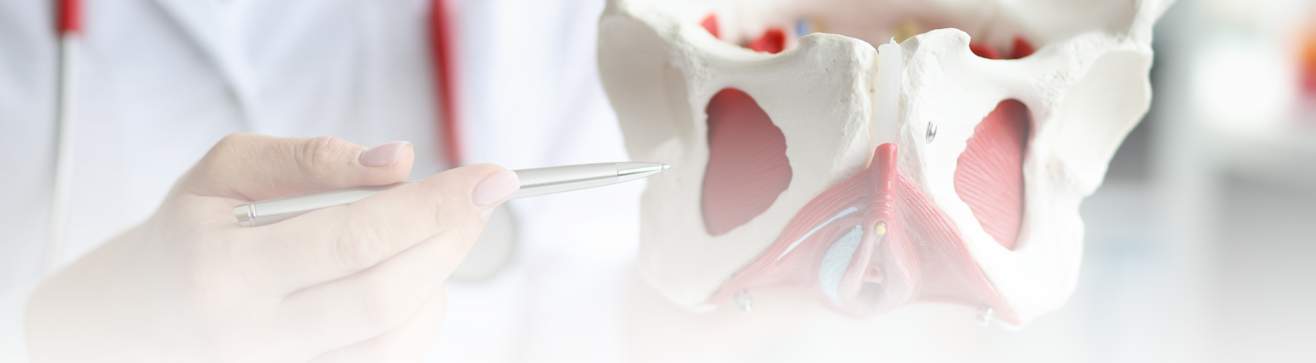 Curso introducciÃ³n al manejo integral de pacientes con patologÃ­as del piso pÃ©lvico