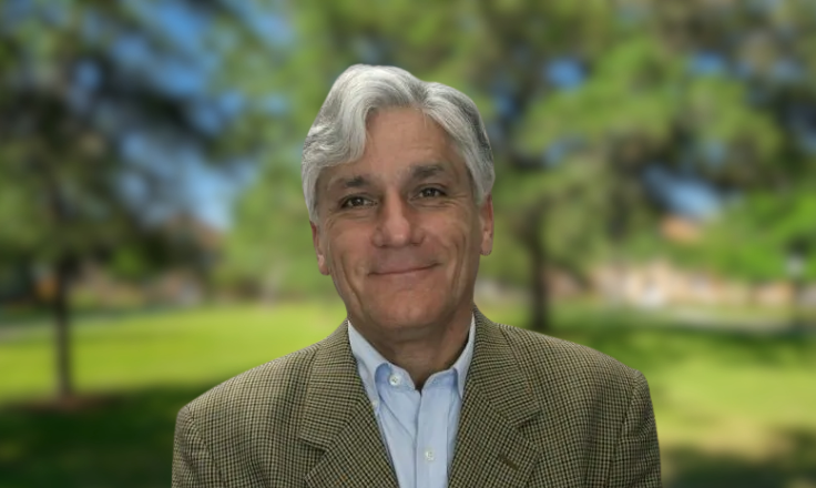 Julio SagÃ¼es H.