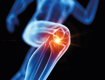 EstadÃ­a de Perfeccionamiento (Fellowship) en CirugÃ­a de Rodilla de Adultos HTS