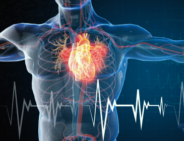 Estadía De Perfeccionamiento (Fellowship) En Anestesia Cardiovascular