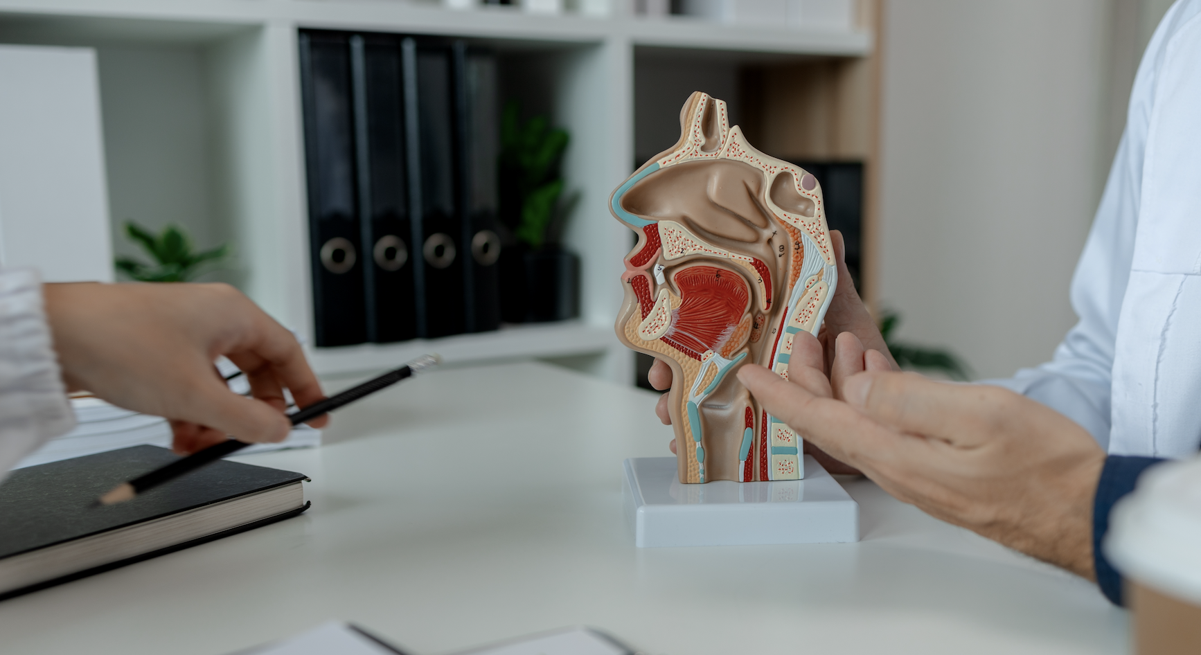 Especialidad MÃ©dica en OtorrinolaringologÃ­aÂ 