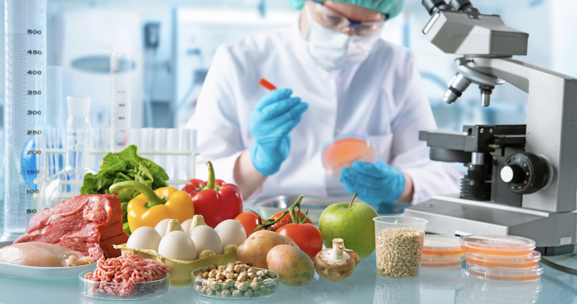 Diplomado en InnovaciÃ³n, Sustentabilidad e Inocuidad Alimentaria