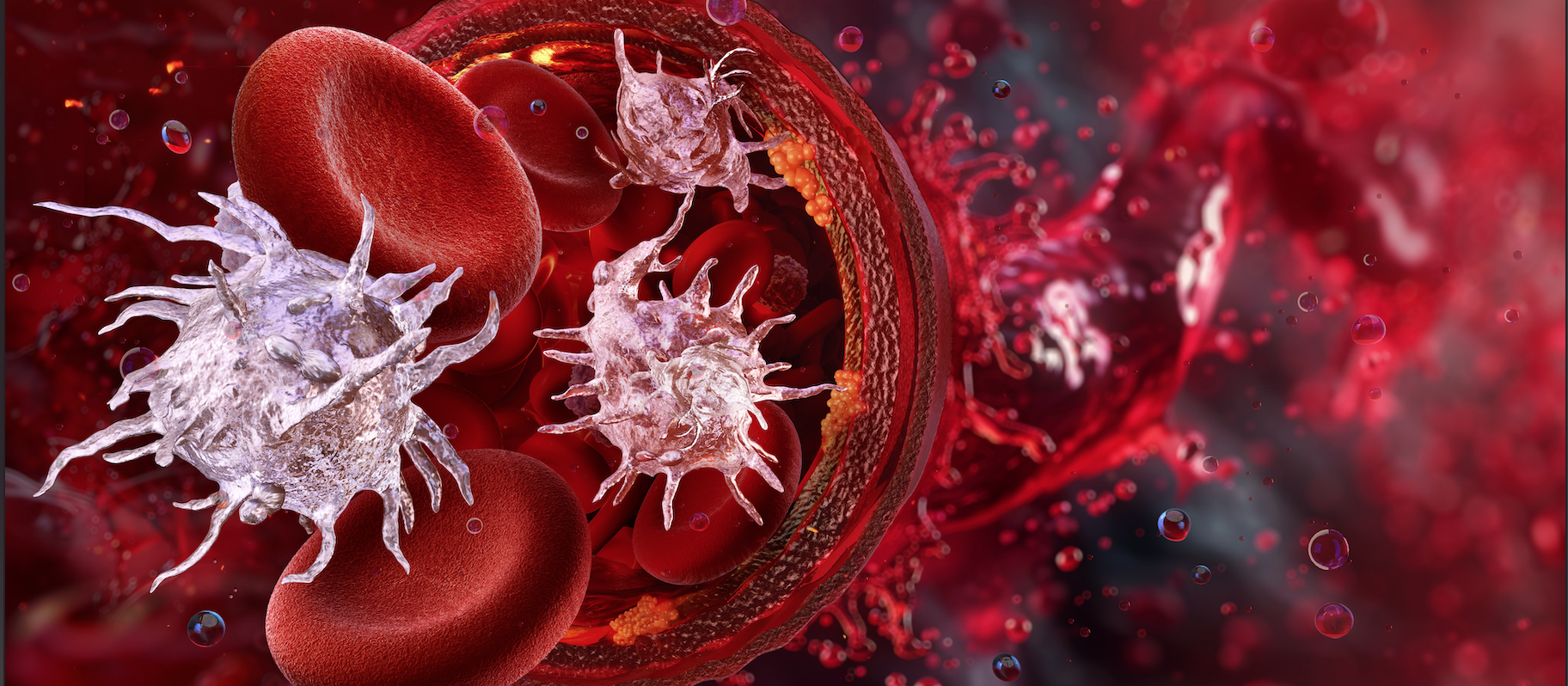 Curso EvaluaciÃ³n ViscoelÃ¡stica de la Hemostasia