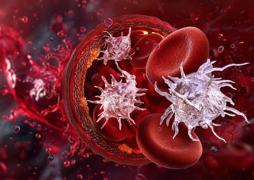 Curso EvaluaciÃ³n ViscoelÃ¡stica de la Hemostasia