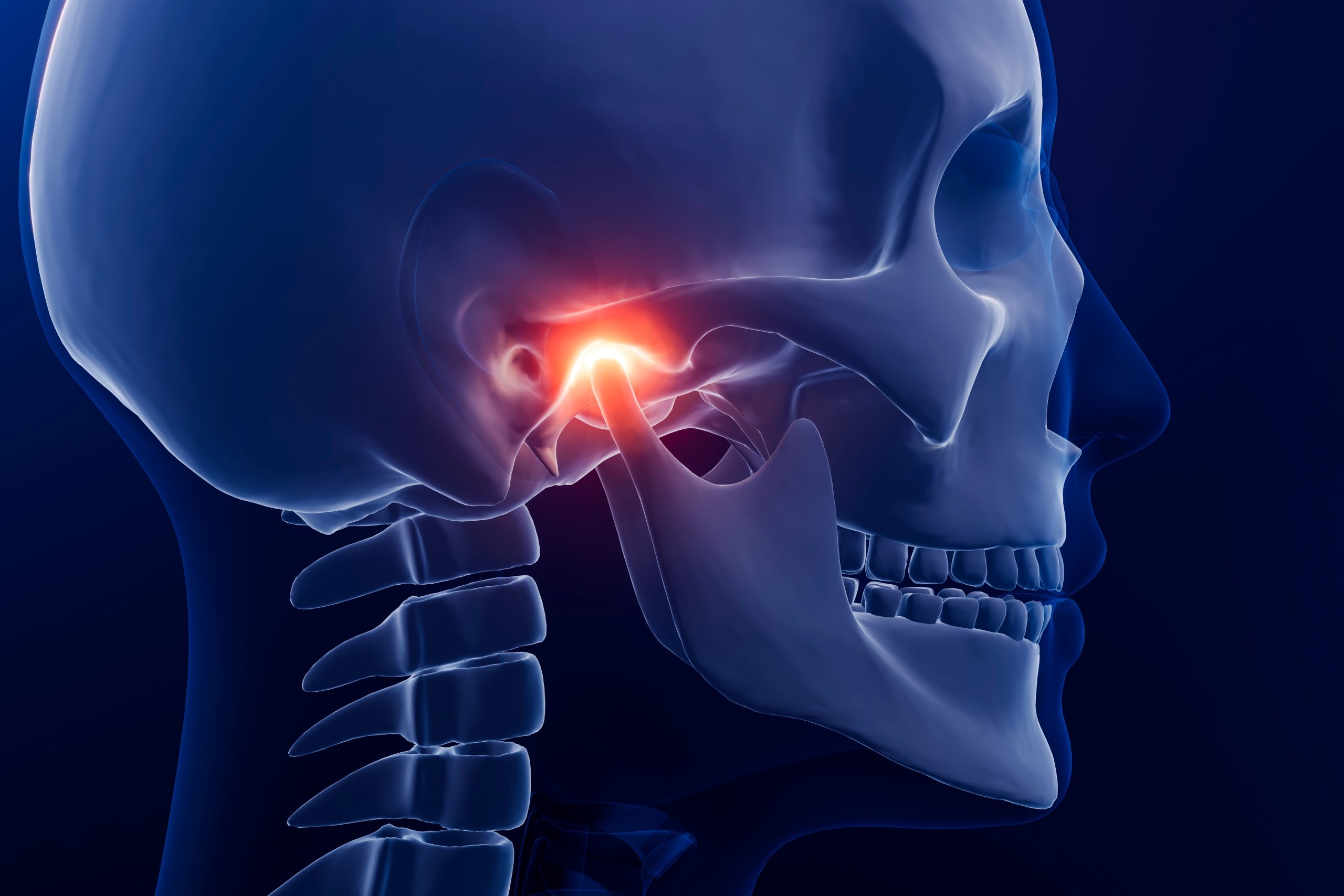 Curso de BiomecÃ¡nica y generalidades del sistema crÃ¡neo cervical y temporomandibular