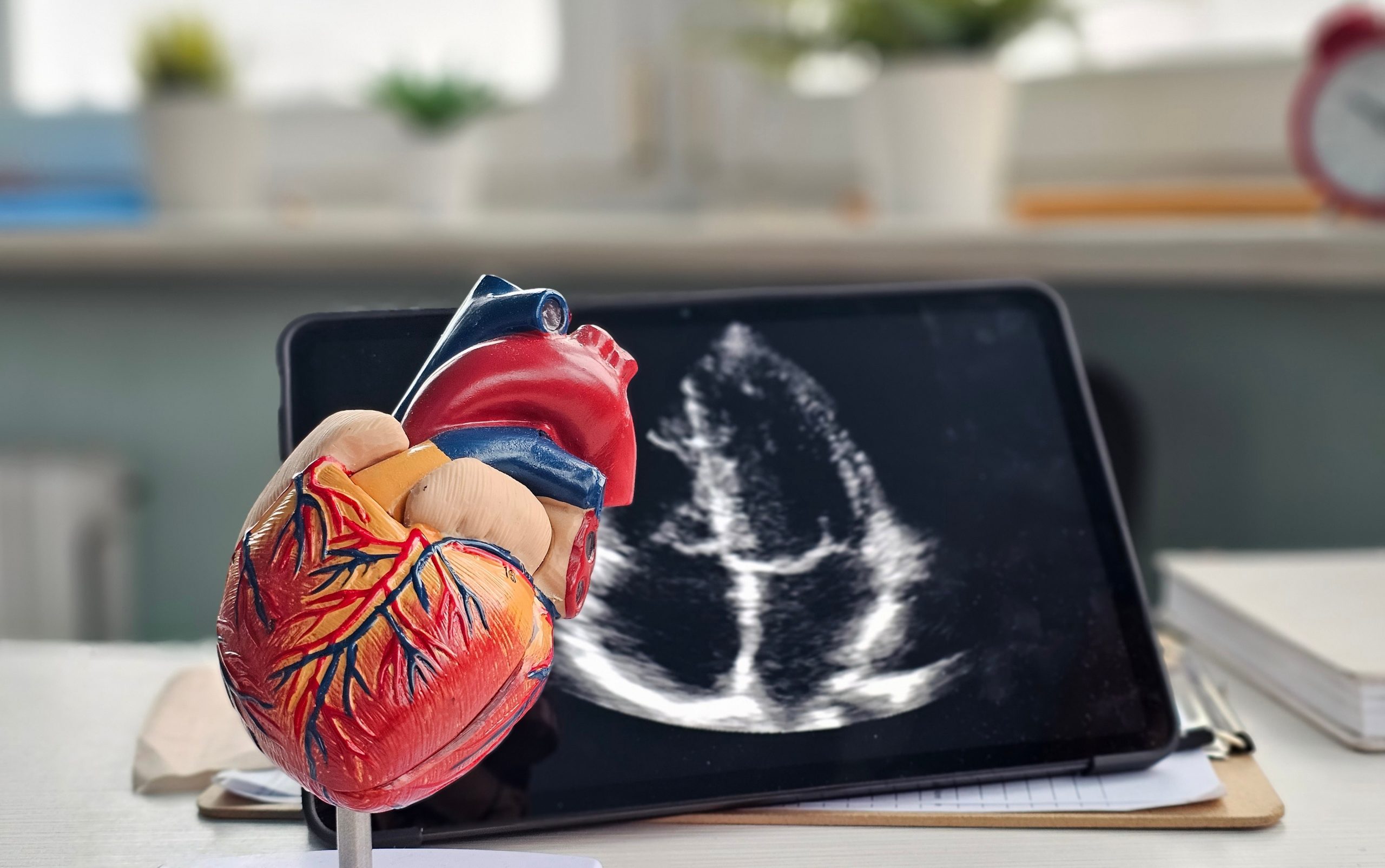 EstadÃ­a de Perfeccionamiento (Fellowship) en EcocardiografÃ­a