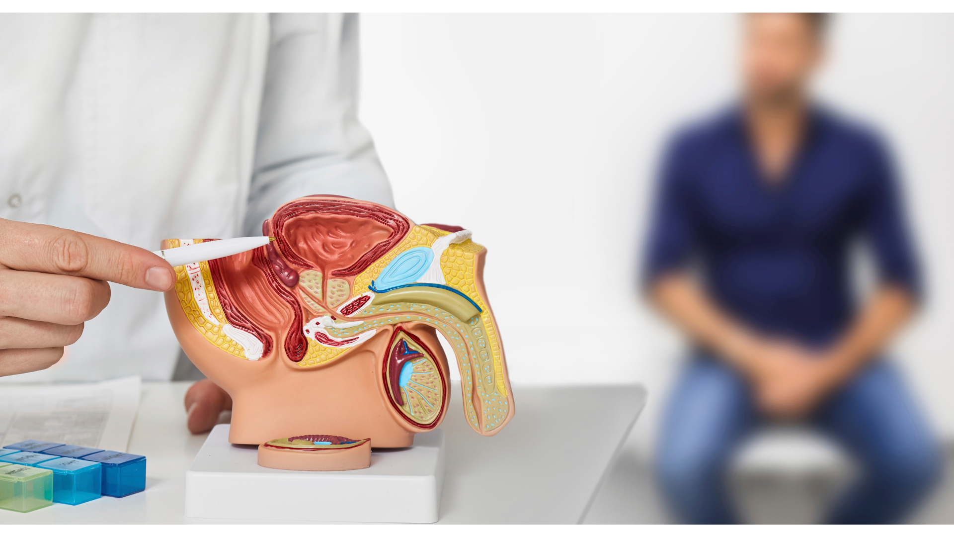 EstadÃ­a de CapacitaciÃ³n en UrologÃ­a